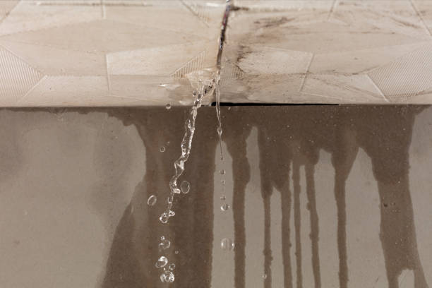 Professional Structural Drying technician working in Murphy, NC
